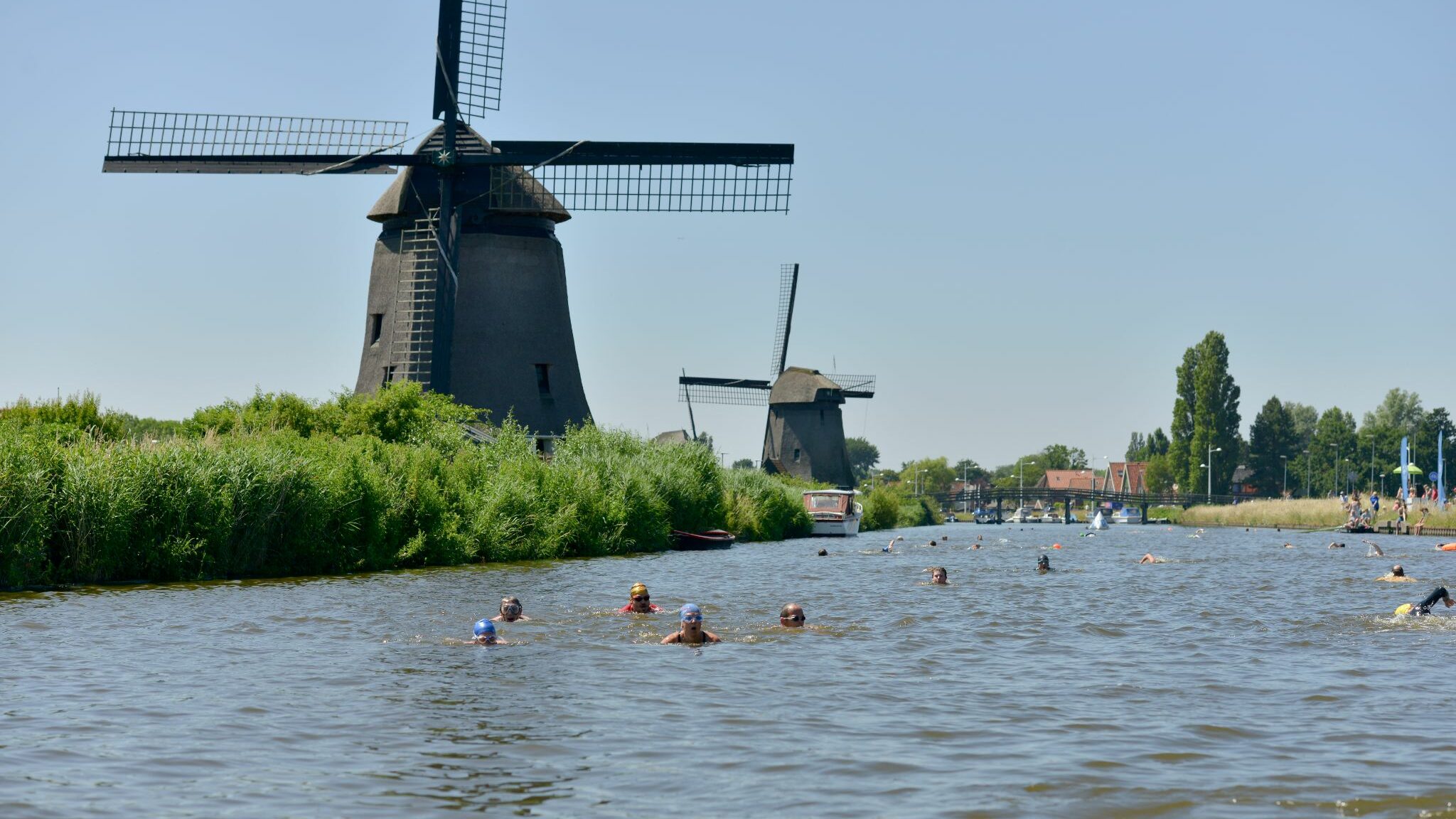 Hoornse Vaart Open Water Swim in zwembad Hoornse Vaart in Alkmaar