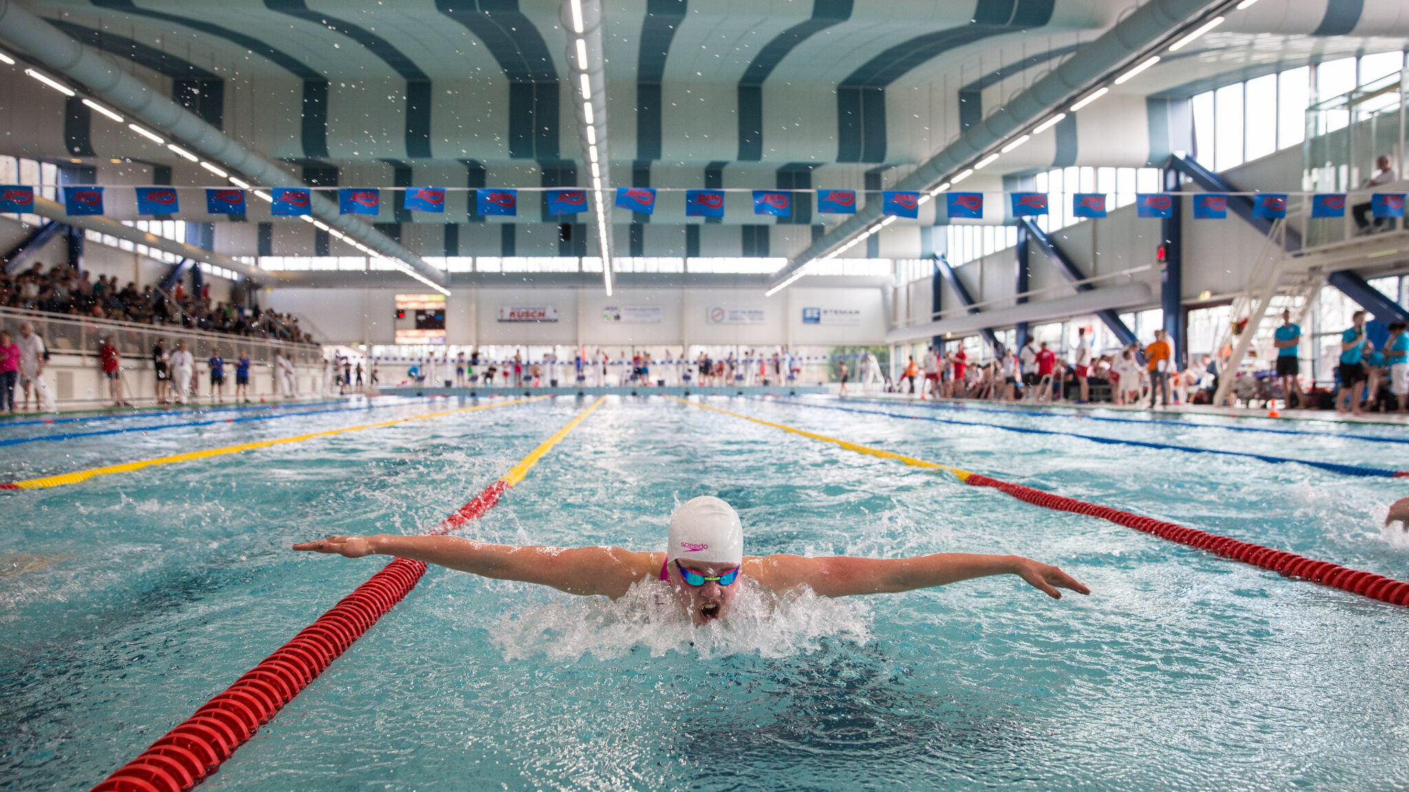 50-meterbad in zwembad Hoornse Vaart in Alkmaar